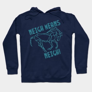 Neigh means neigh! Hoodie